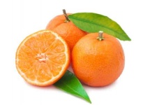 Orange - Lyophilisiertes Obst